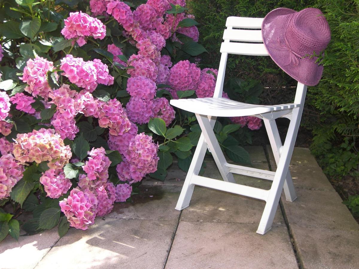 Les Hortensias Sainte-Marie-aux-Mines Exterior photo