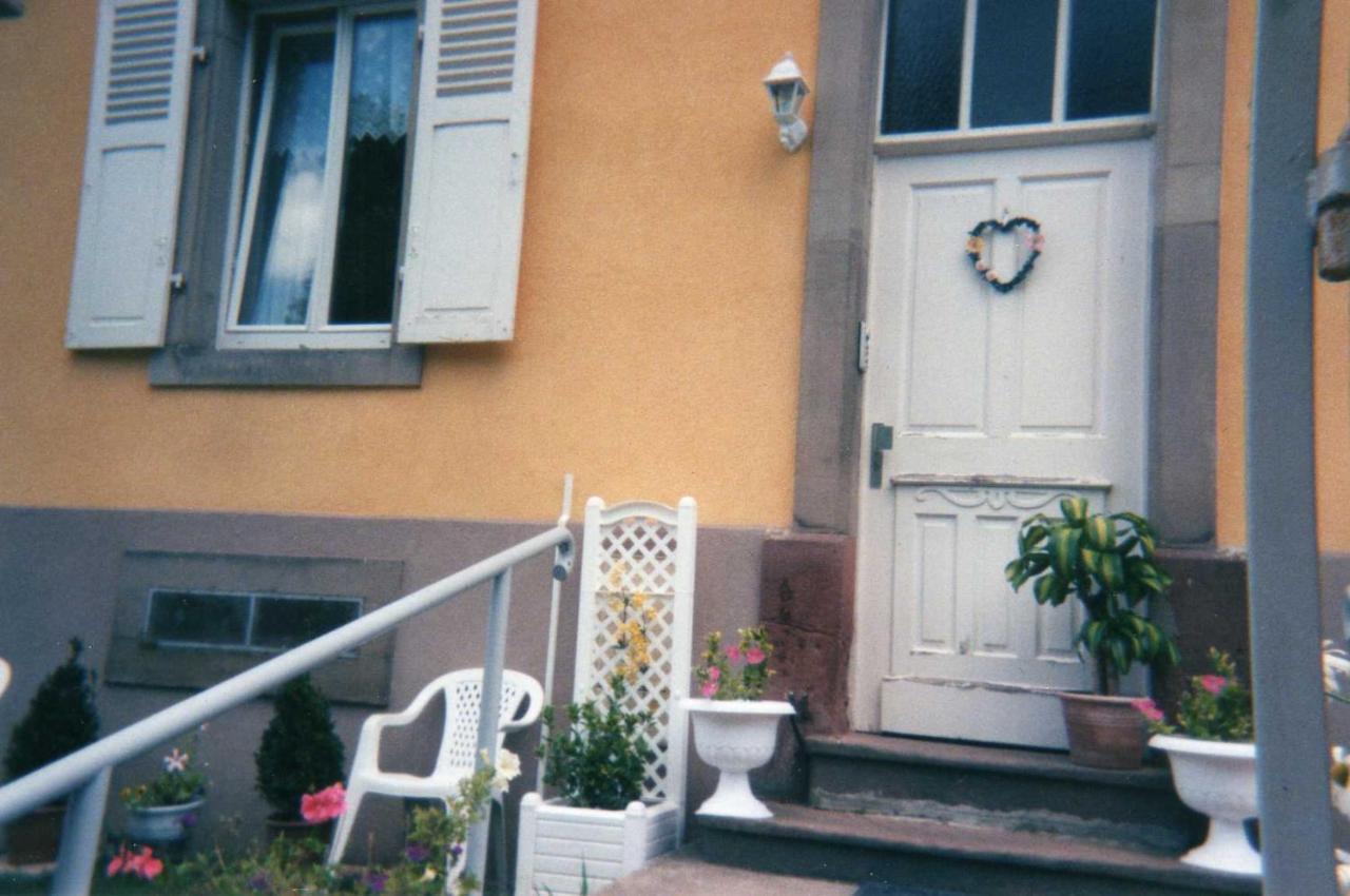 Les Hortensias Sainte-Marie-aux-Mines Exterior photo