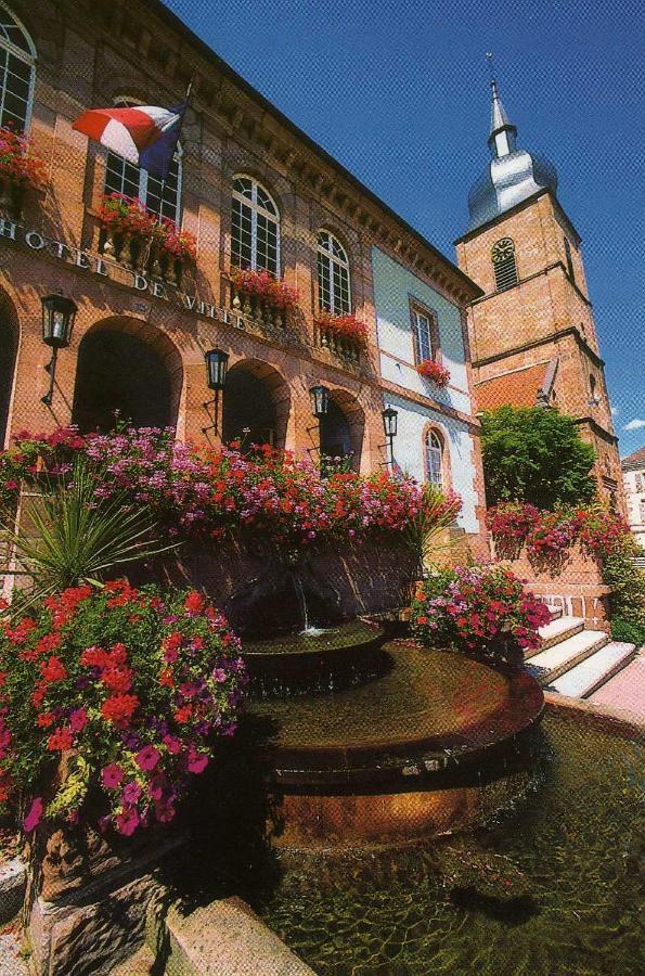 Les Hortensias Sainte-Marie-aux-Mines Exterior photo
